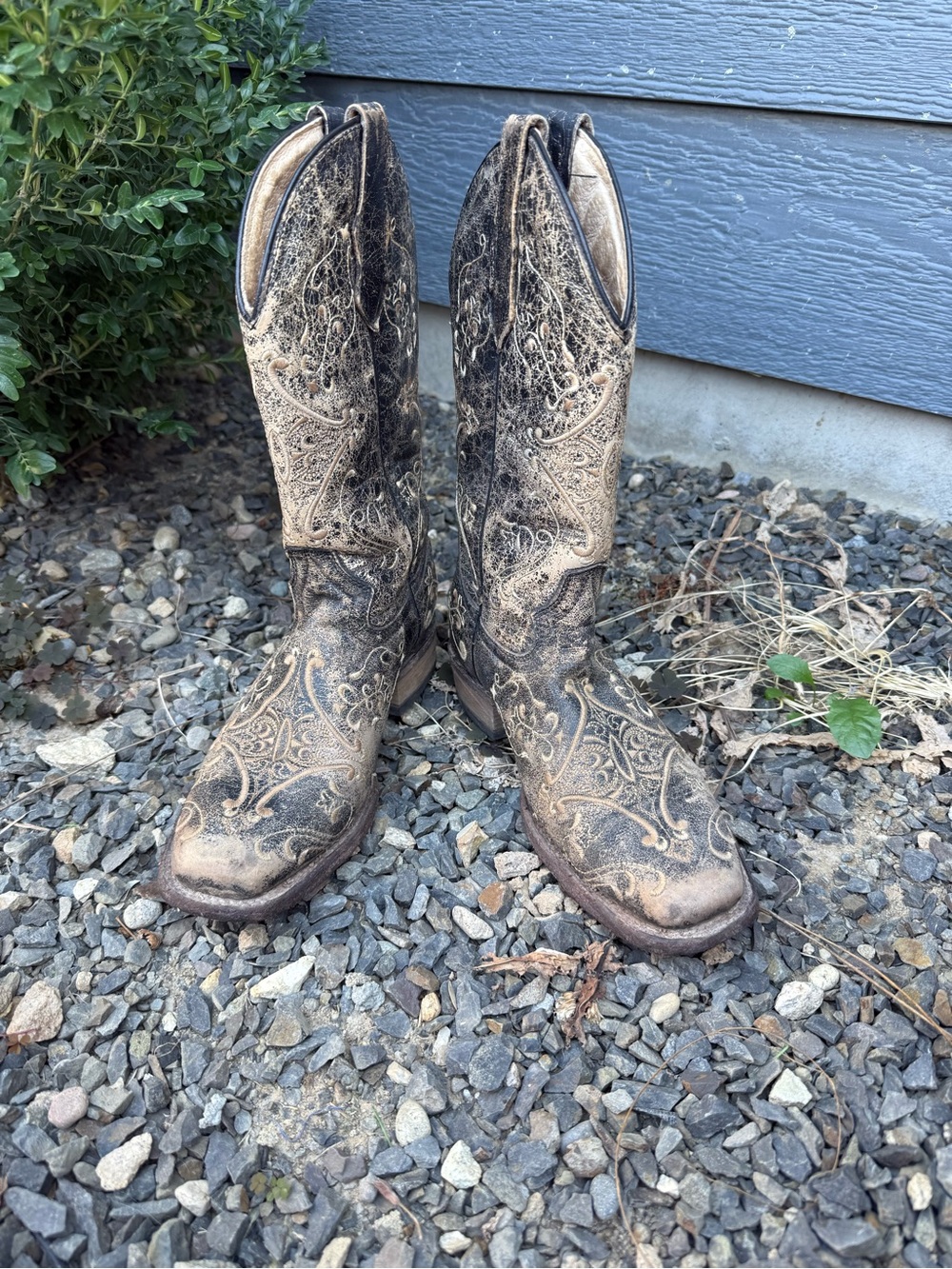Circle G Women’s 7.5 M Black Tan Distressed Embroidered Westerns Cowboy boots